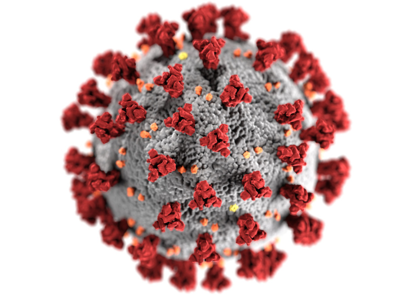 Coronavirus