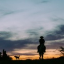 Cowboy riding away in sunset