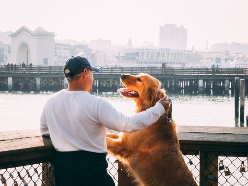 Man and his pet dog