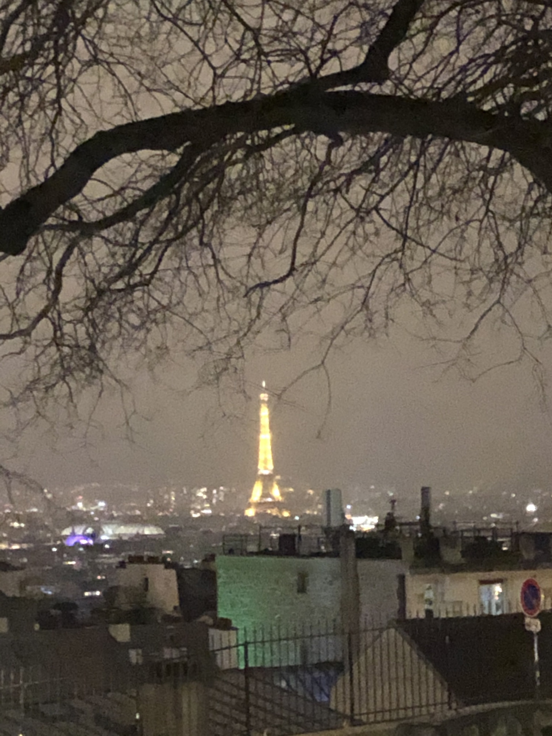 Iconic Image of Paris