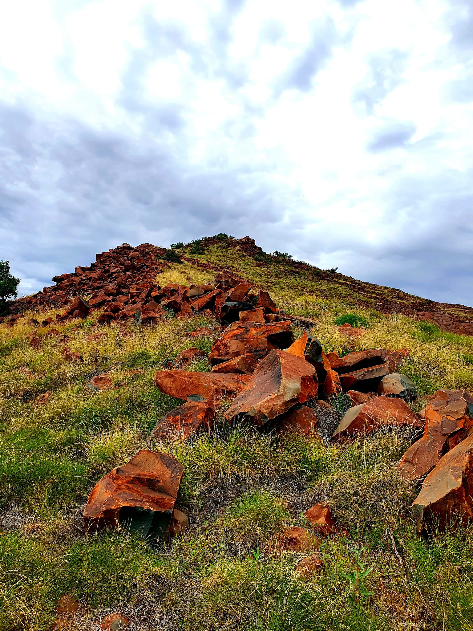 Beautiful red rocks